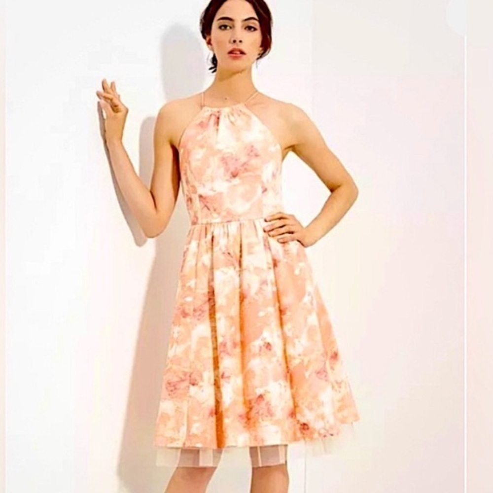 Anthropologie Mcginn Halter Tulle Dress in Peach Rose